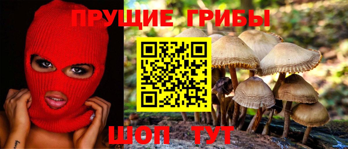 Псилоцибиновые грибы MAGIC MUSHROOMS Дмитров