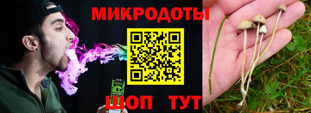 Дмитров  Псилоцибиновые грибы Psilocybe  Вход с VPN 